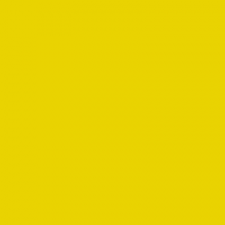 Yellow G-S.PNG